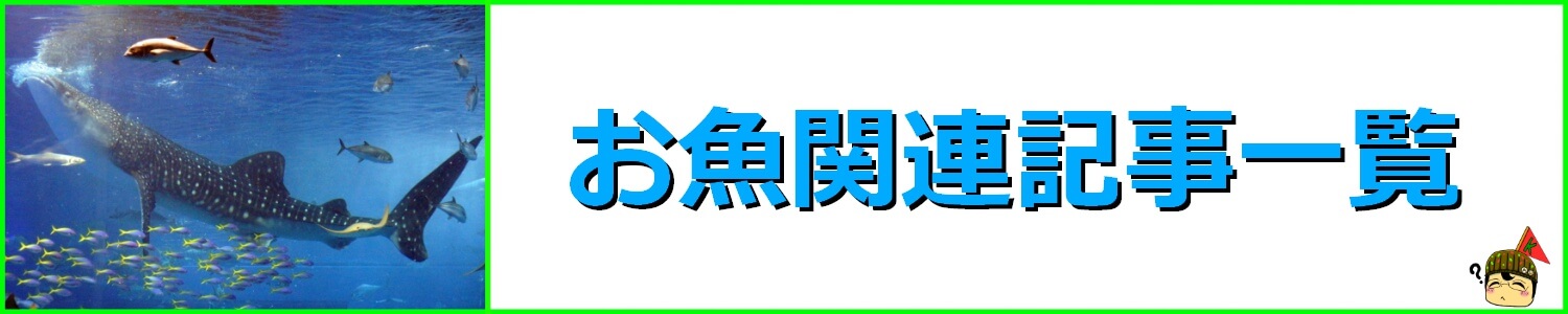 お魚関連記事一覧ページ